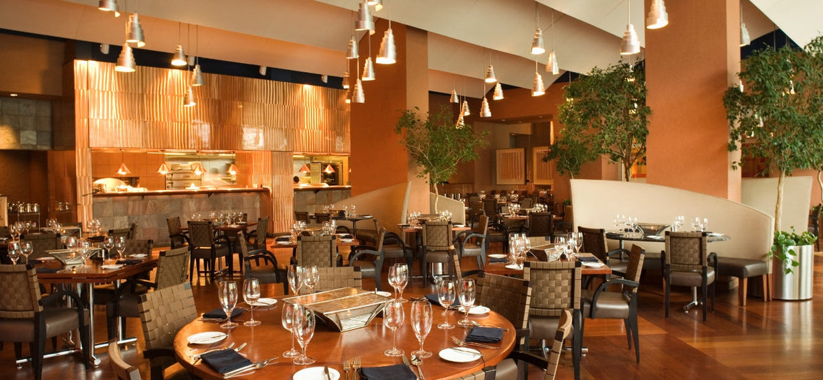 Bars & Restaurants Cleaner Air Purification