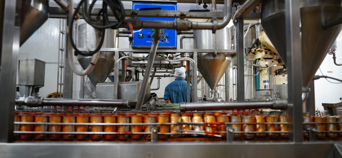 Food & Beverage Processing